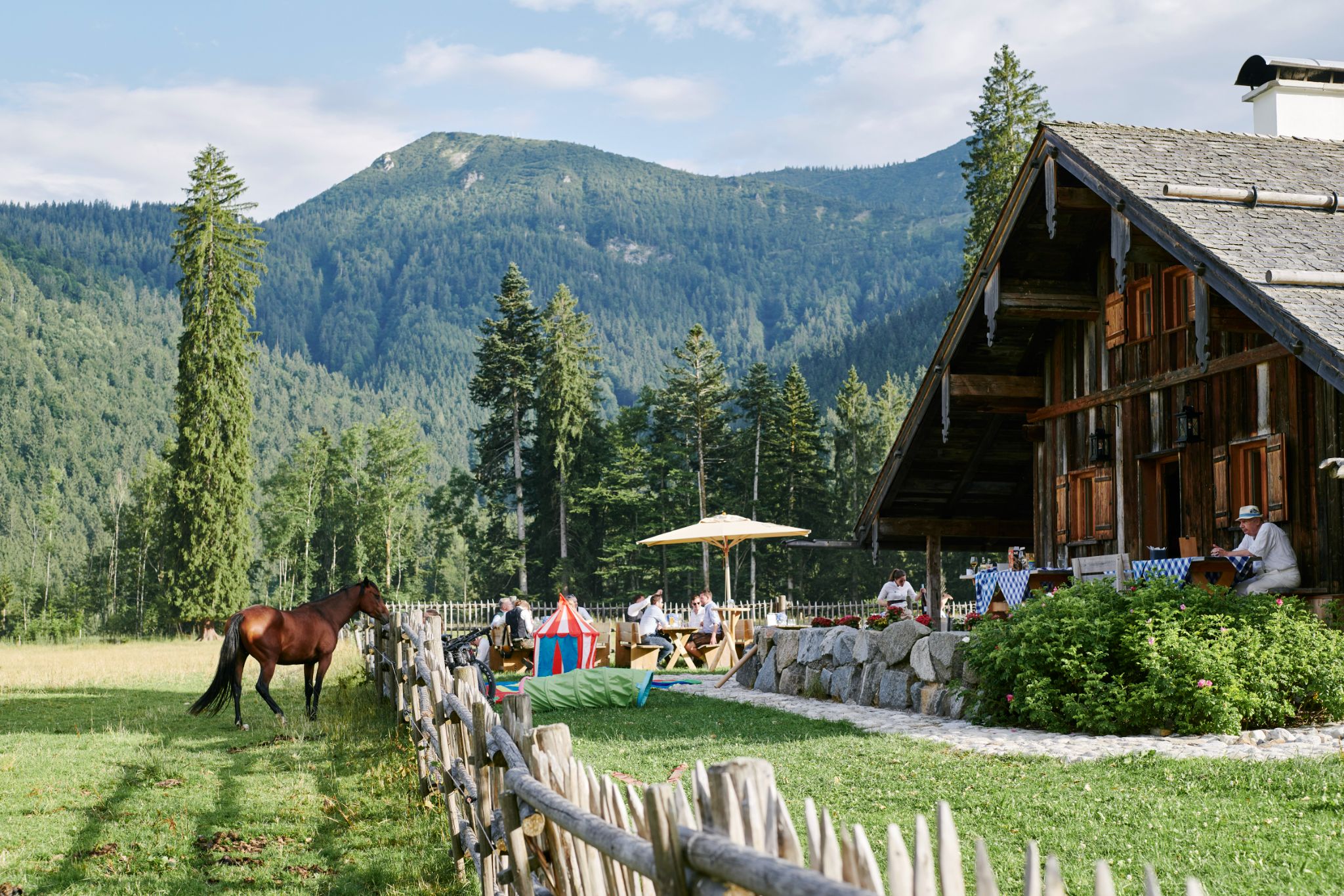 DirkMatura Forever50 2023 Daniel Schäfer 001