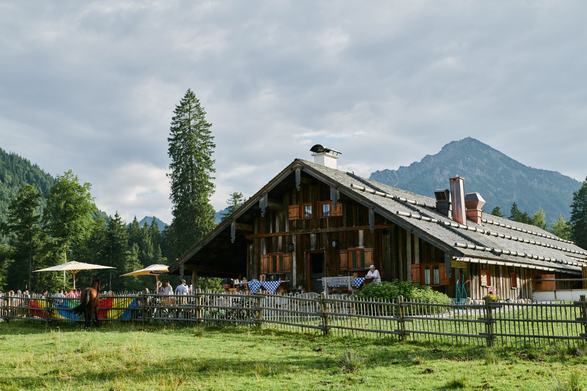 DirkMatura Forever50 2023 Daniel Schäfer 002