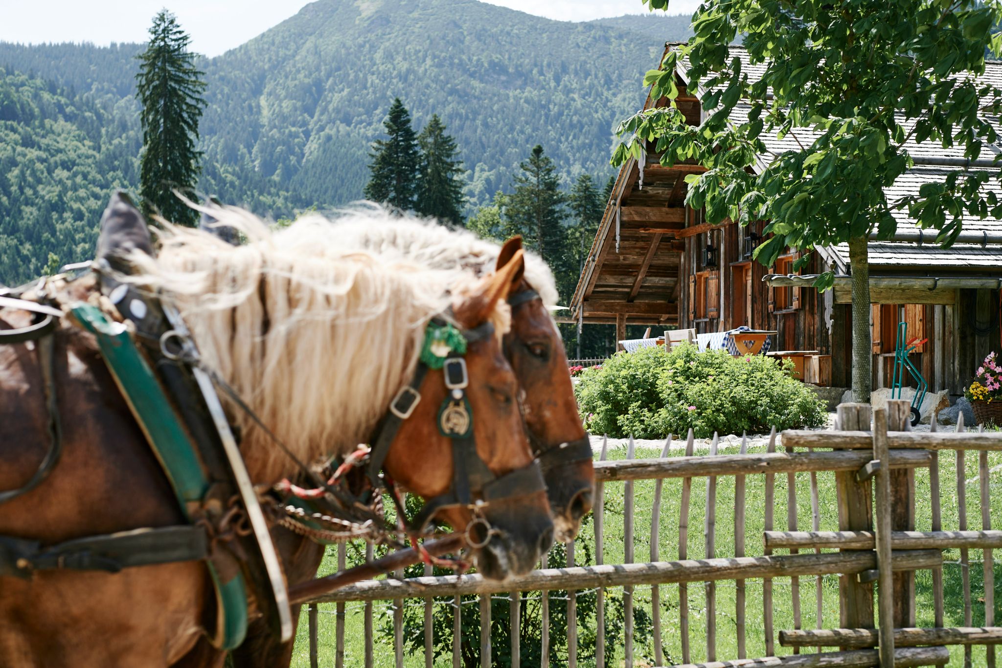 DirkMatura Forever50 2023 Daniel Schäfer 032