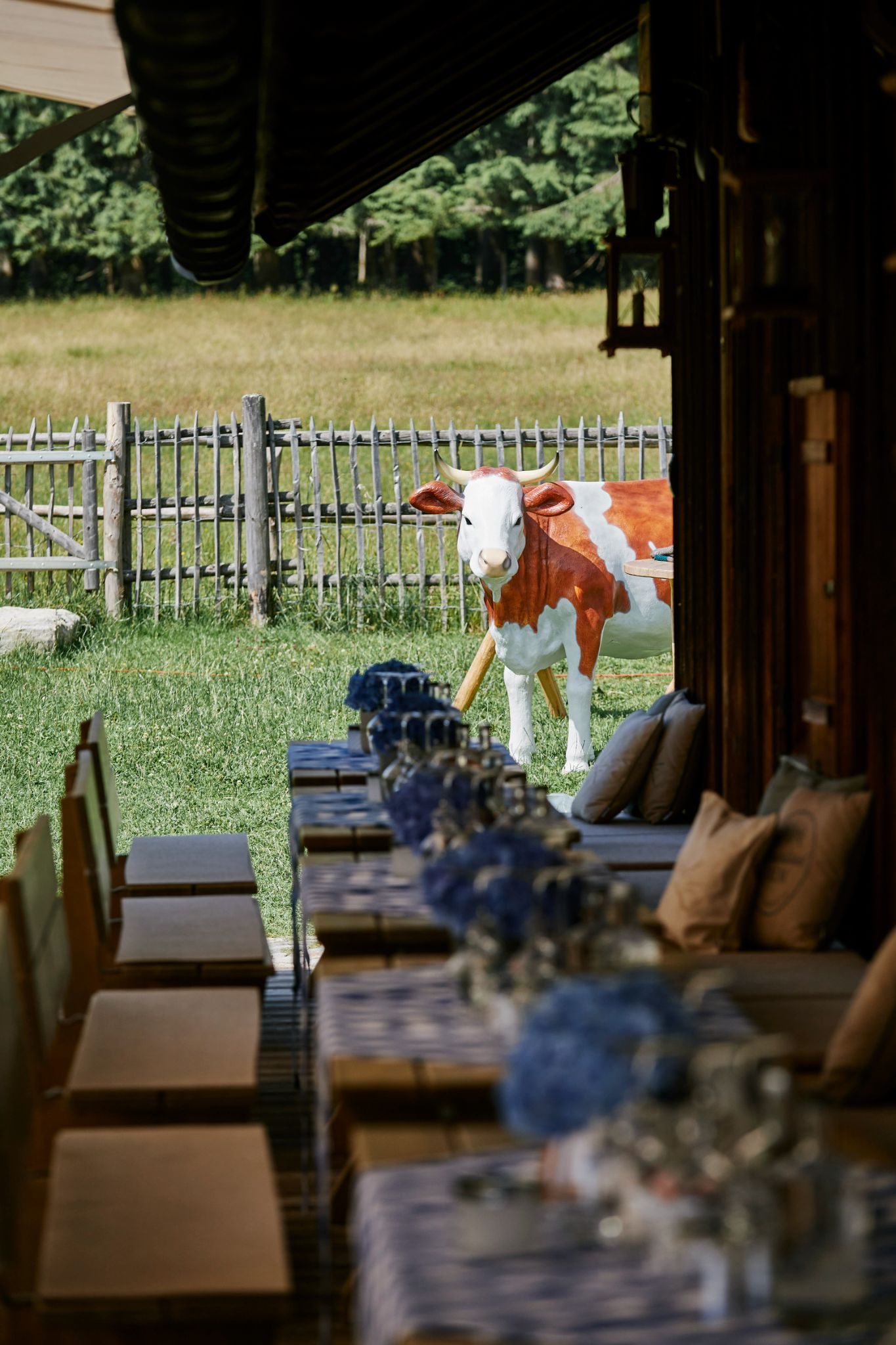 DirkMatura Forever50 2023 Daniel Schäfer 049