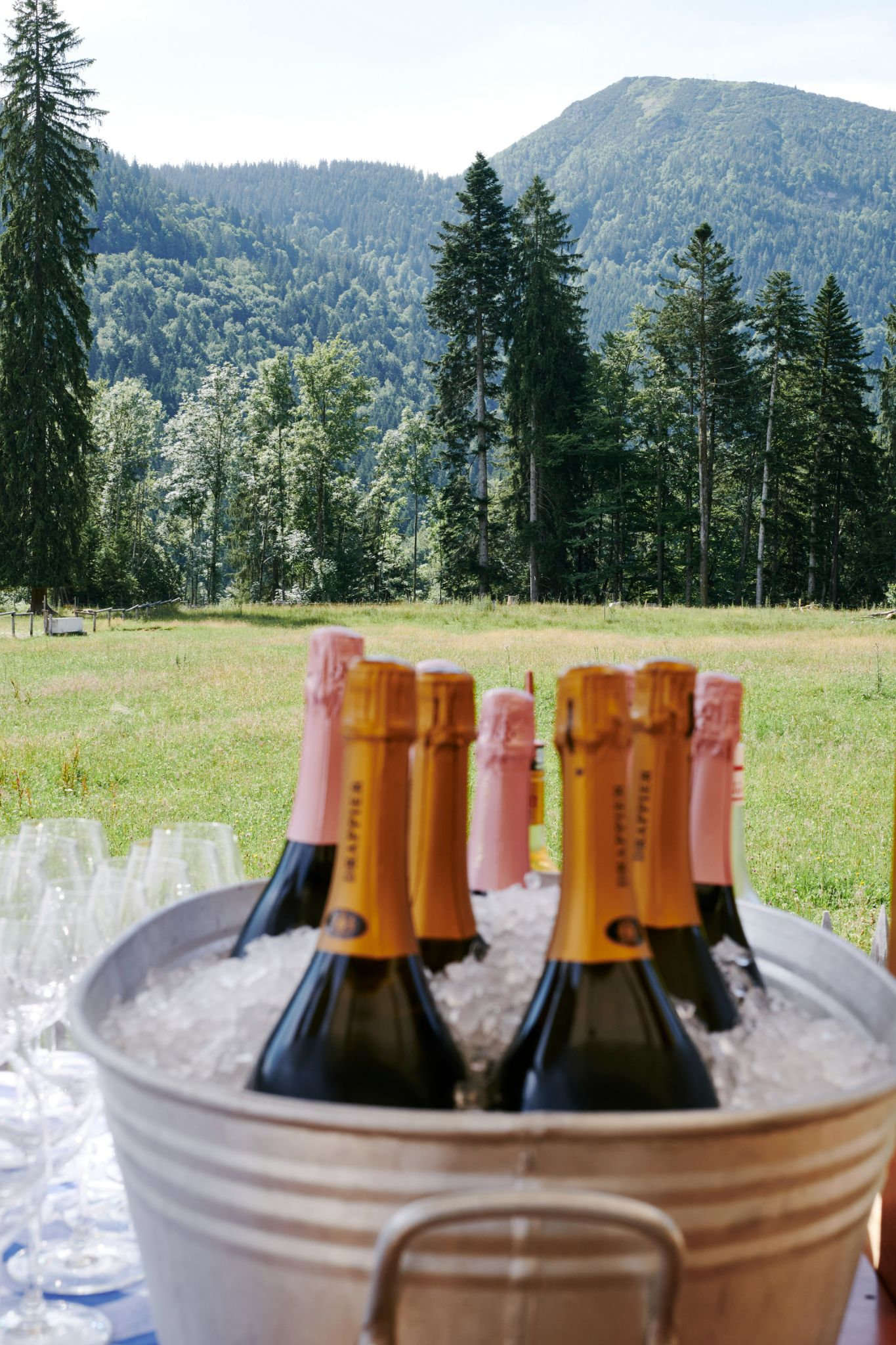 DirkMatura Forever50 2023 Daniel Schäfer 052