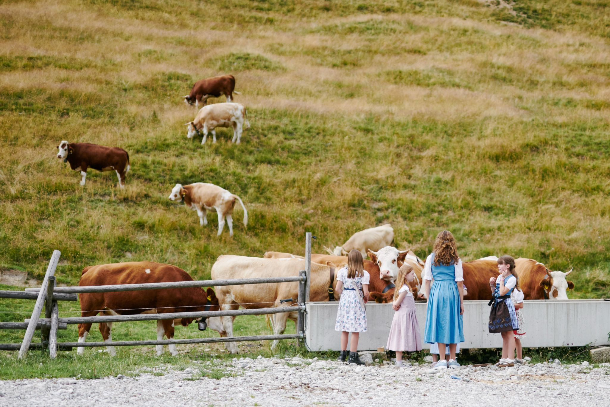 DirkMatura Forever50 2023 Daniel Schäfer 156