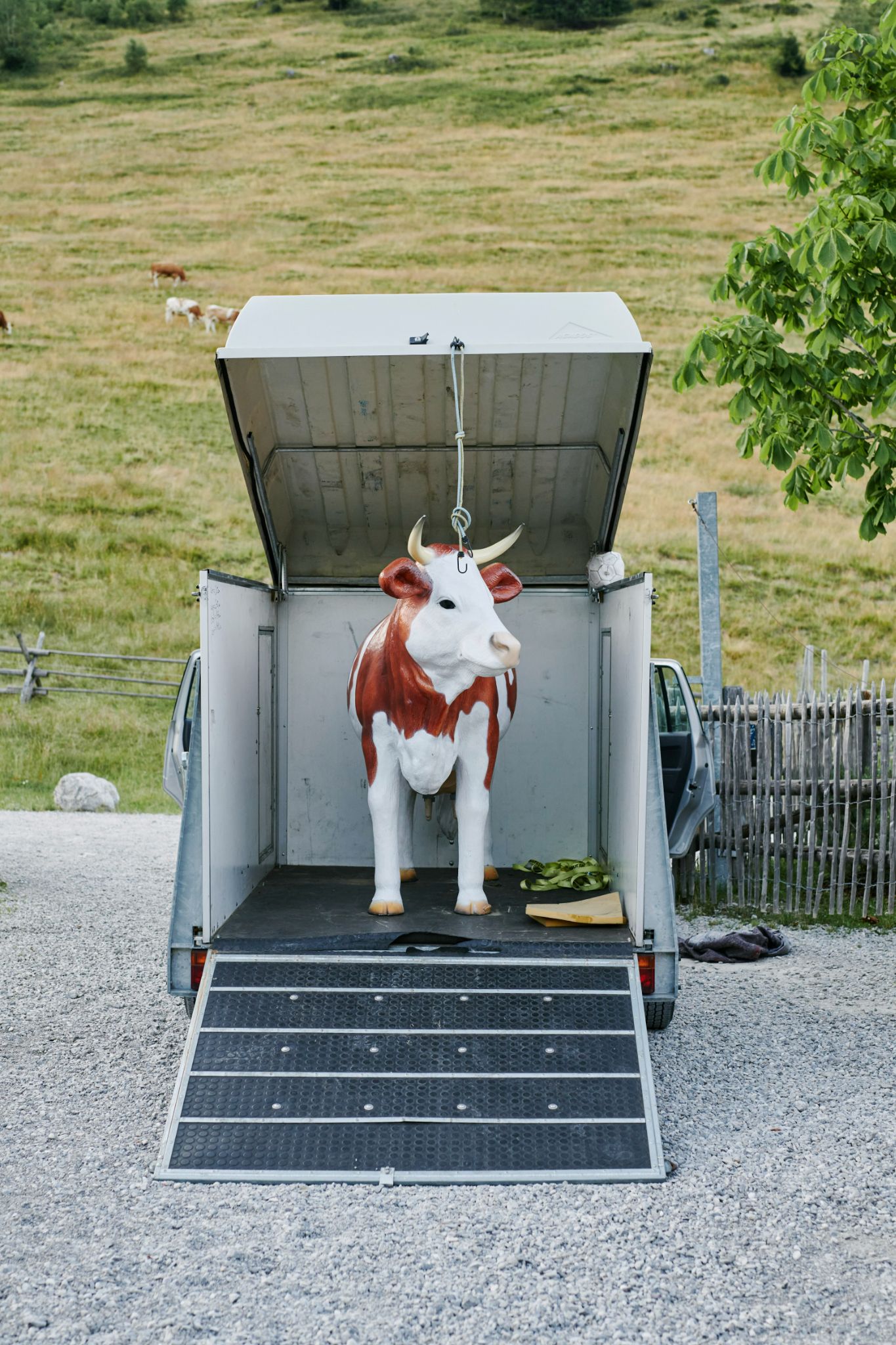 DirkMatura Forever50 2023 Daniel Schäfer 443